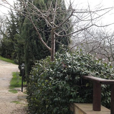 Agriturismo Le Valli Hotel Acuto Екстериор снимка