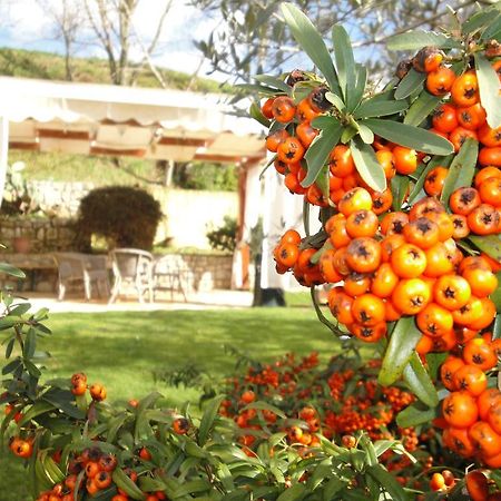 Agriturismo Le Valli Hotel Acuto Екстериор снимка