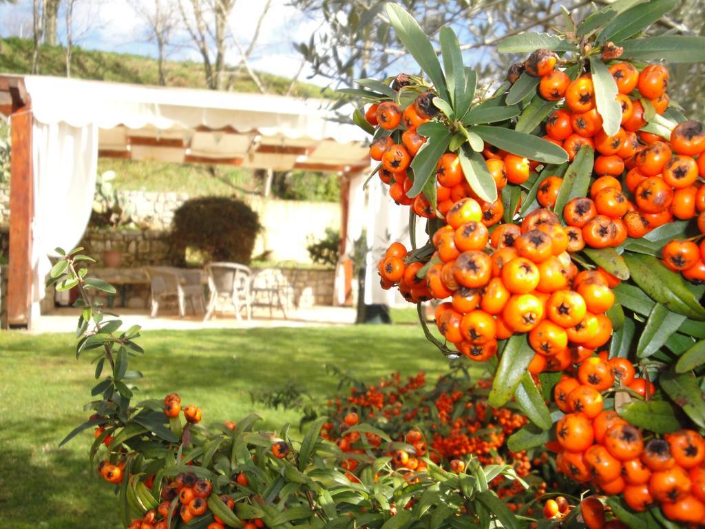 Agriturismo Le Valli Hotel Acuto Екстериор снимка