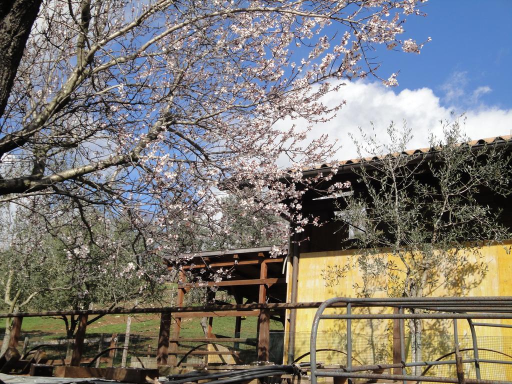 Agriturismo Le Valli Hotel Acuto Екстериор снимка